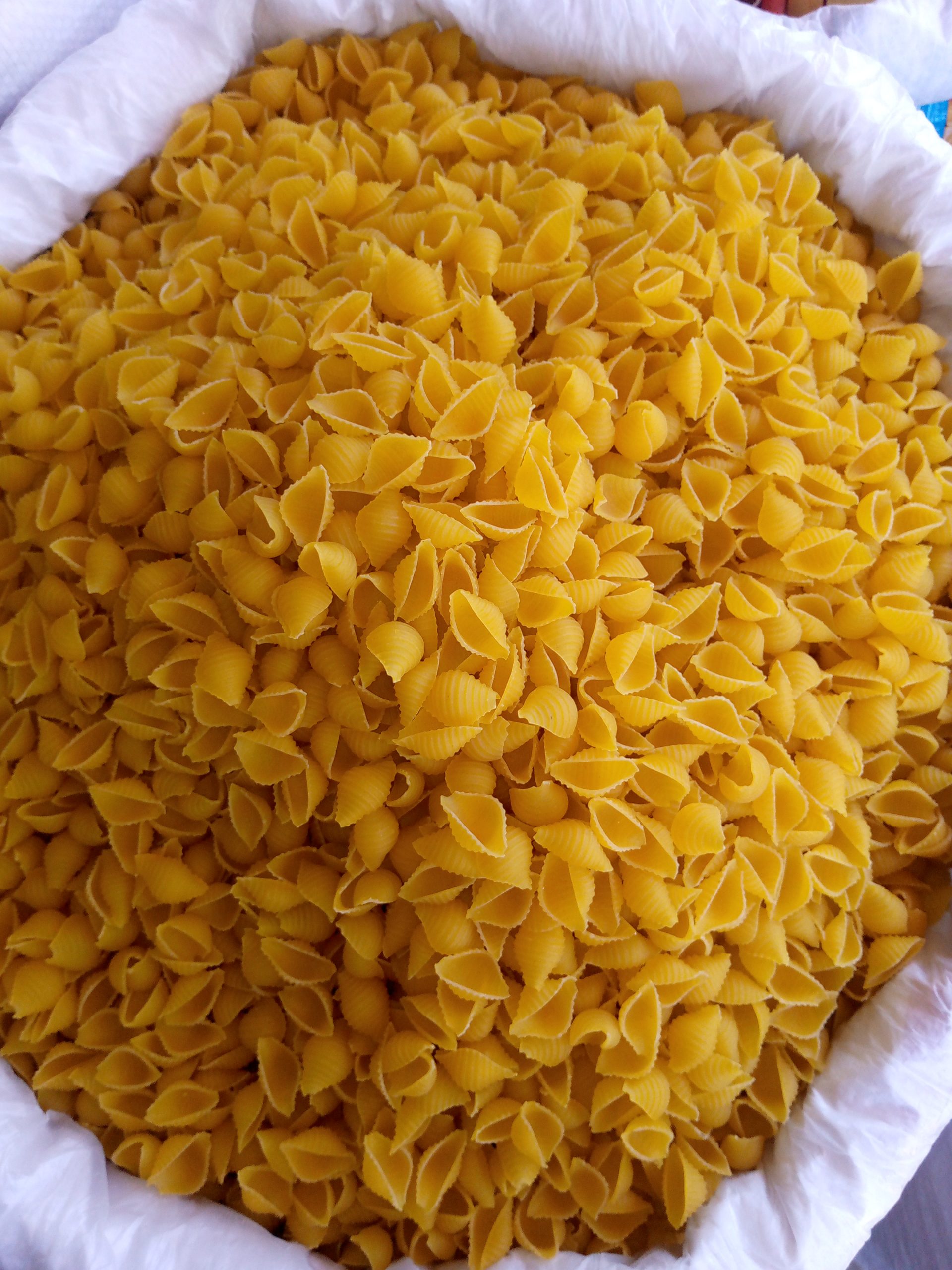 ডিলার নিয়োগ বিজ্ঞপ্তি