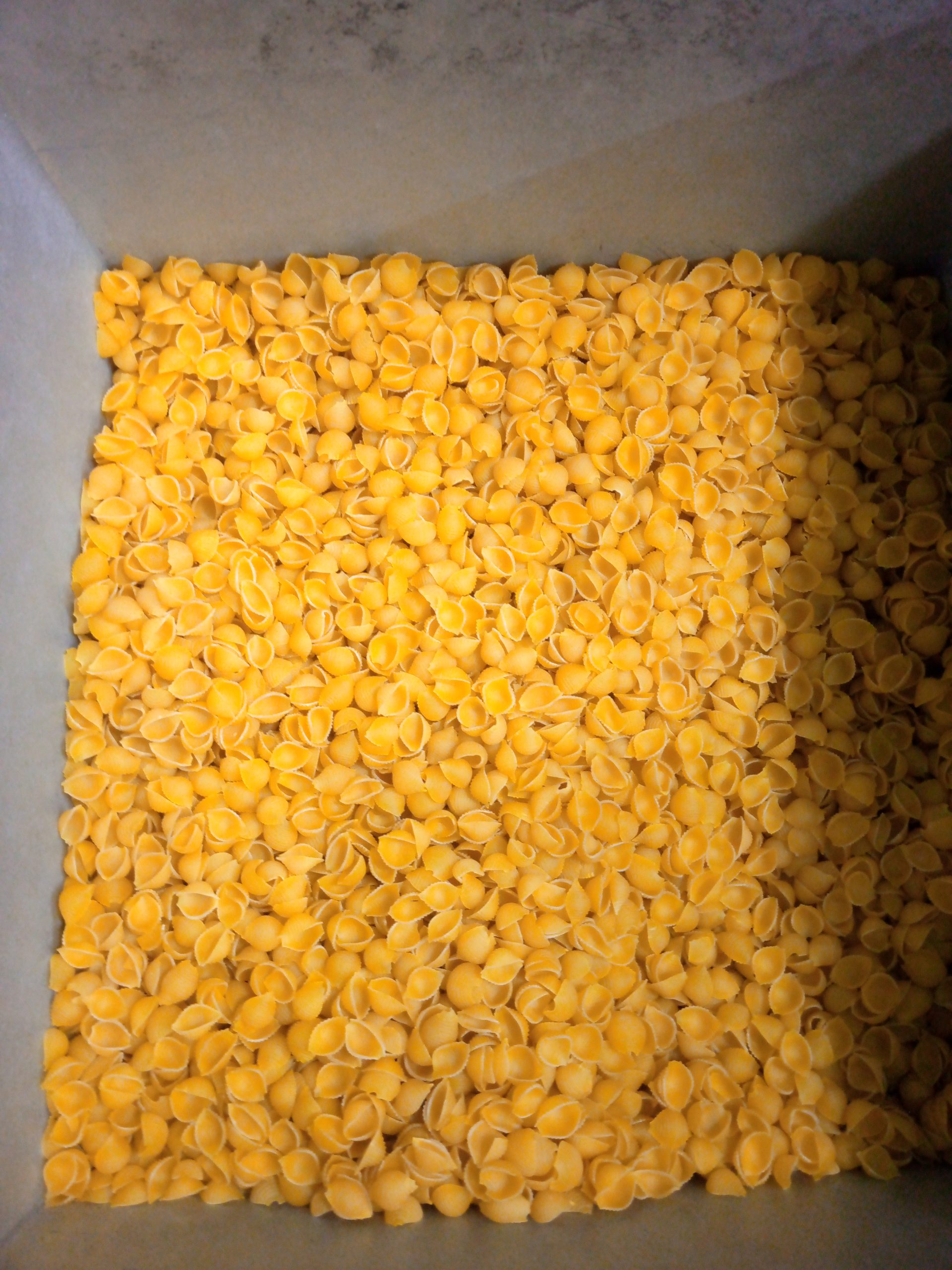 ডিলার নিয়োগ বিজ্ঞপ্তি